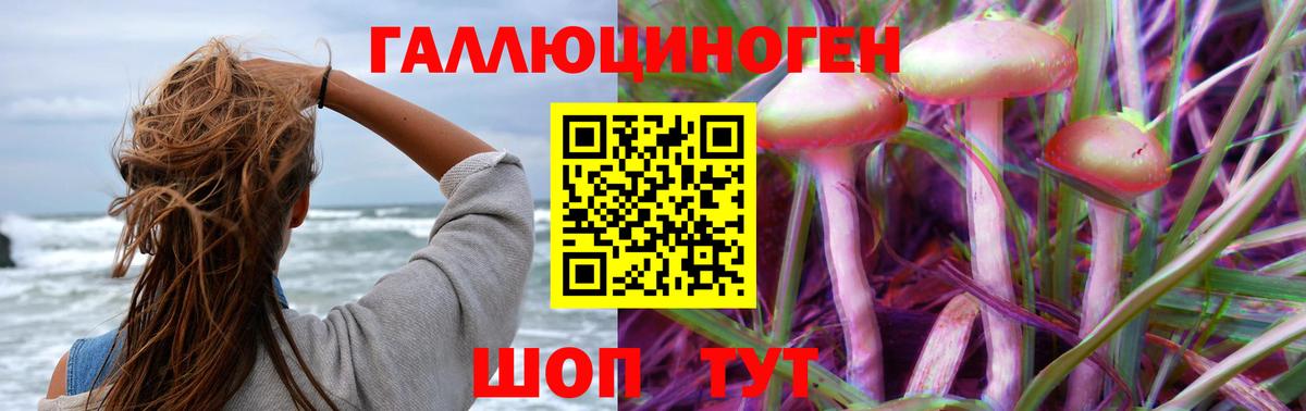 Псилоцибиновые грибы Psilocybine cubensis Ишим